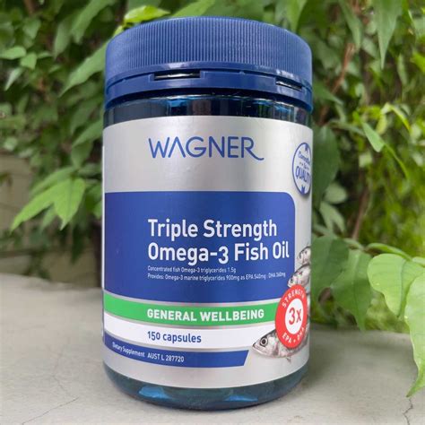 wagner omega 3